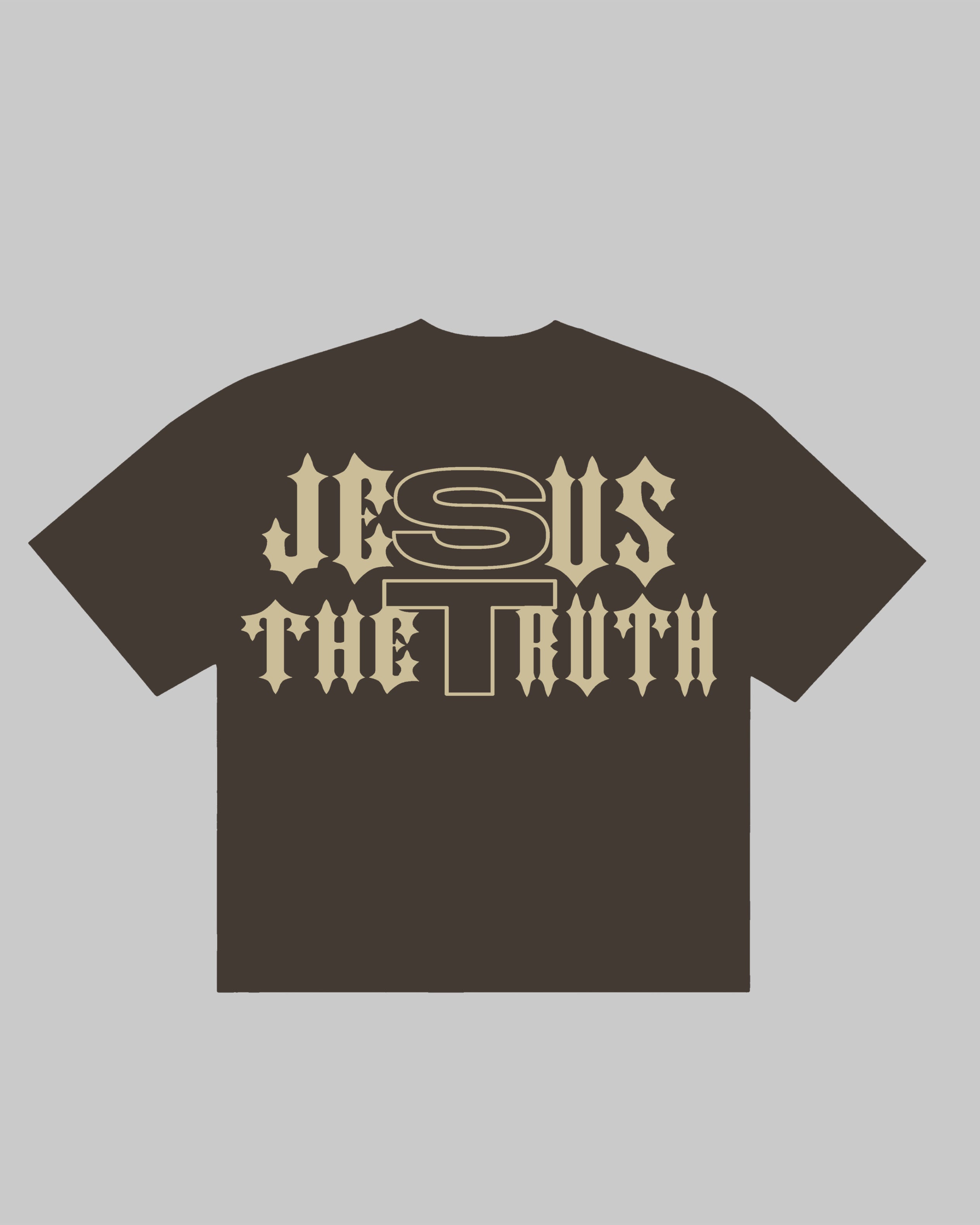 JESUS THE TRUTH TEE