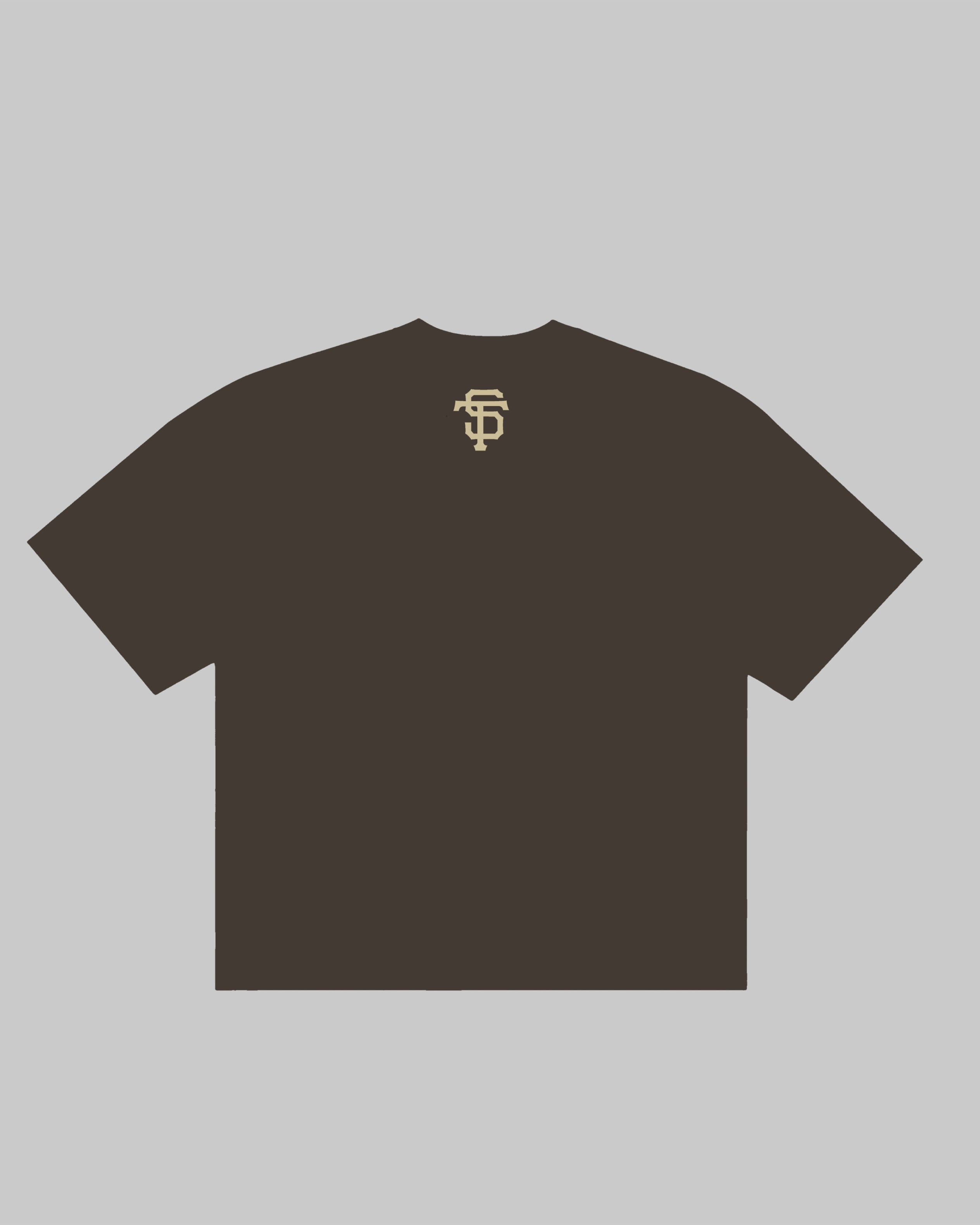 JESUS THE TRUTH TEE